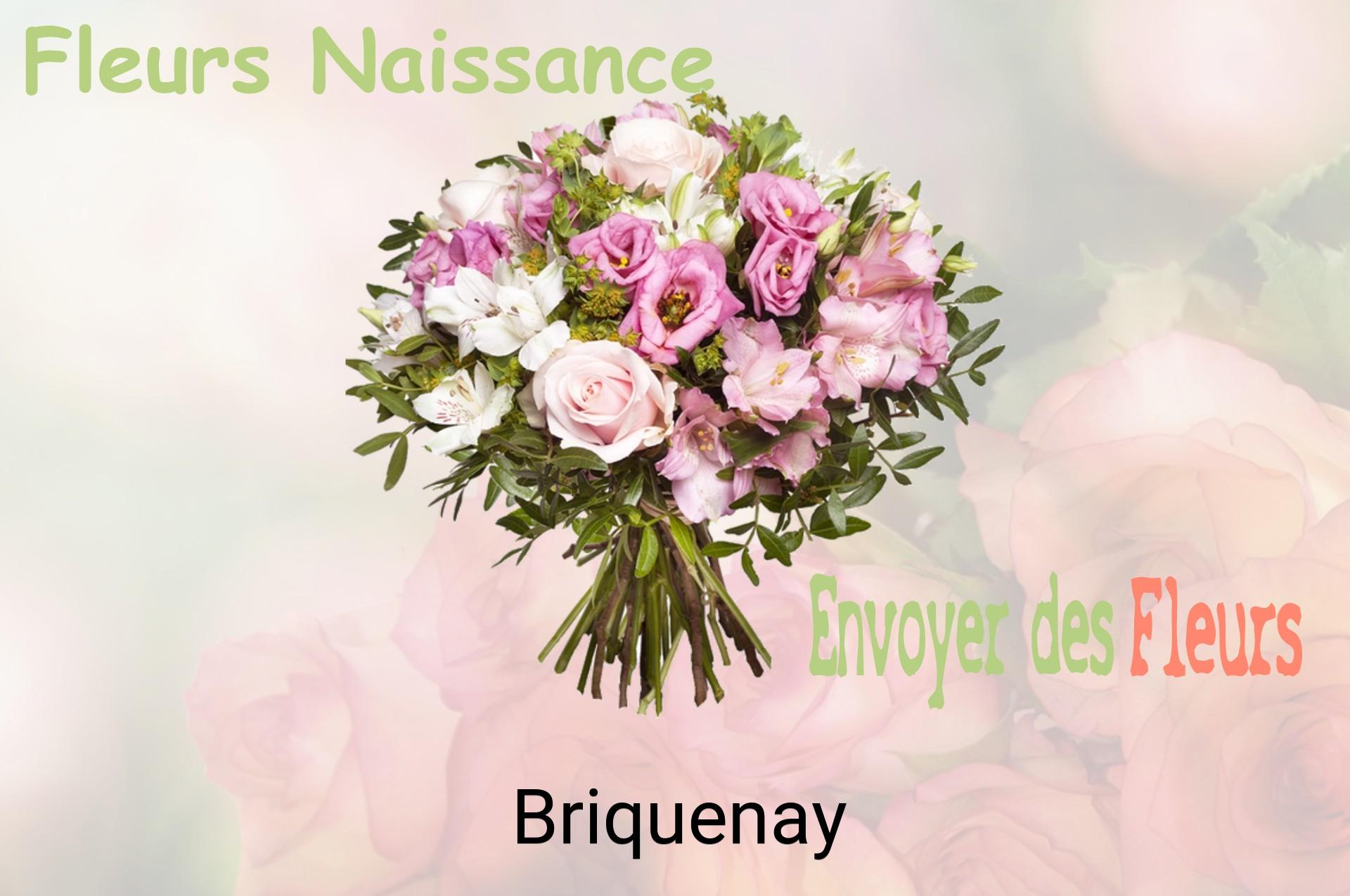 Bouquet de fleurs de naissance livré à Briquenay